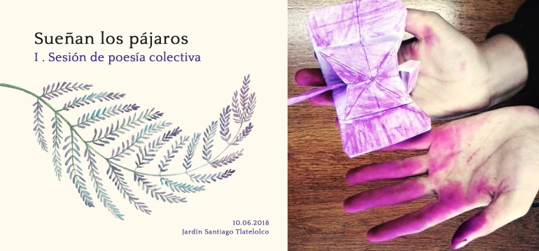 Sueñan los pájaros2